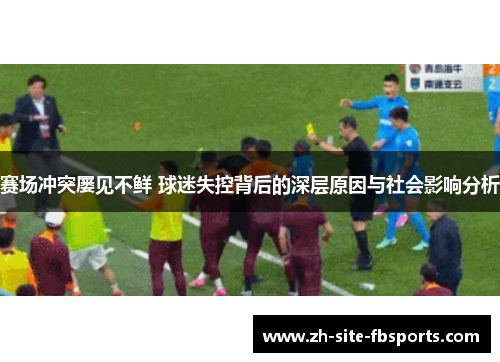 赛场冲突屡见不鲜 球迷失控背后的深层原因与社会影响分析