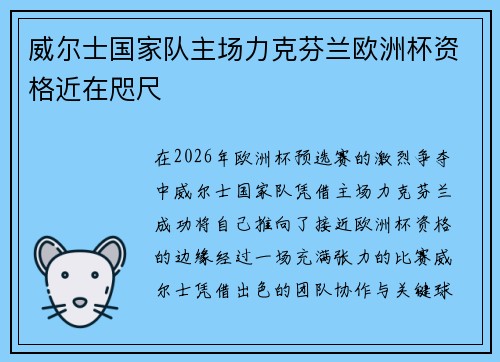 威尔士国家队主场力克芬兰欧洲杯资格近在咫尺