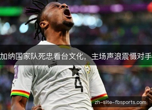 加纳国家队死忠看台文化，主场声浪震慑对手